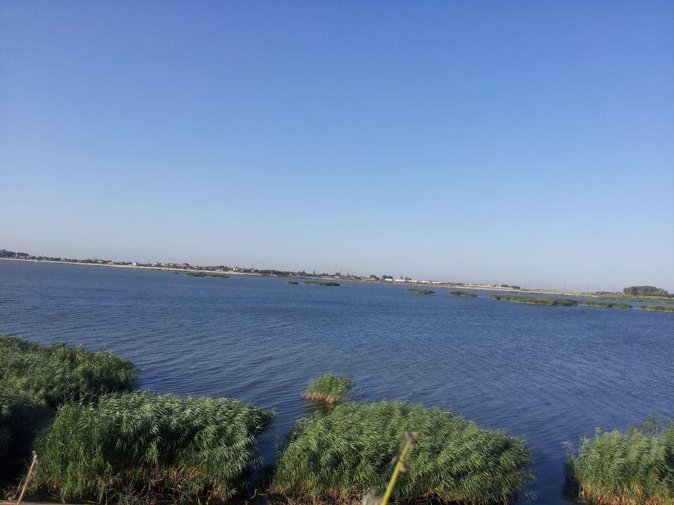 baraj mihailesti - 487345398890023492138959539193n.jpg